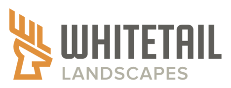 Whitetail Landscapes